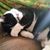 Shelia Glackin Jamison Morrow's profile image