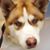 Dwight Leister's profile image