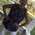Laurie Marr Umlauf's profile image