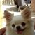 Glenn Stepek's profile image