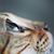 Suzanne Buckley Spelbring's profile image