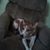 Leona Farrow's profile image