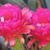 Sandy Yost's profile image