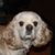 Mike List's profile image