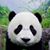 Peter Zhang's profile image