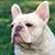Annie Laurie Ramirez's profile image