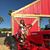 Breanna Timas's profile image