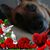 Debbie Hallak's profile image