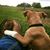 JoAnn Marie's profile image