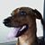 David J Barnes's profile image