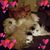 Margie Theriault's profile image