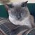 Sue Hough's profile image