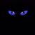 Amanda Perryman Evans's profile image