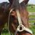 Astrid Dalley's profile image