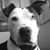 Brian Stoll's profile image