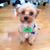 Donna MacDougall's profile image