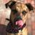 Larry Papp's profile image