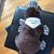Debbie Dyer Cryan's profile image