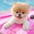 Laissa Paulino Louis's profile image