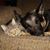 DeAnne Holey Conroy's profile image