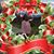 Tonia Michelle Hebert's profile image