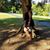 Crystal Independentforsure Flores's profile image
