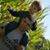 Jason Serpa's profile image