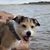 Greg Jegstrup's profile image