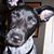 Threeam Radiostar's profile image