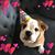 Holly Minton Golian's profile image