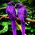 Danette Chavez's profile image