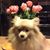 Carol Rich's profile image