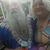 Sandy Marshall's profile image