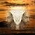 Carl Palmer's profile image