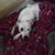 Kathy Ussery's profile image