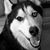 Lisa Mireles's profile image