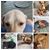 Kimberly Pierce Kelly's profile image