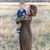 Megan Jarrard Bradshaw's profile image