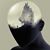 Karl Schott's profile image