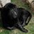 Sofi Rayan's profile image