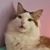 Annie McCy's profile image
