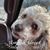 Judith Robinson's profile image