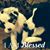 Rene Craveiro's profile image
