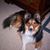 Beverly Compton's profile image