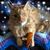Colleen Lougee's profile image