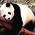 Gerald Yingling's profile image