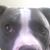 Don J Berchielli's profile image