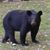 Linda Marie's profile image