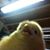 Adrian Lopez's profile image