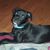 Darlene Rondon's profile image